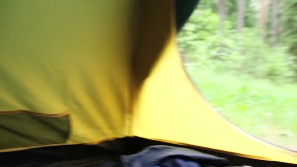 Belül az erdőben a kemping sátor — Stock videók