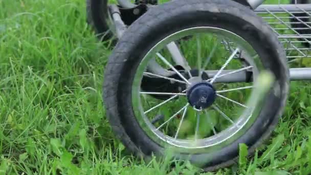 Kinderwagenräder rollen auf dem Gras — Stockvideo