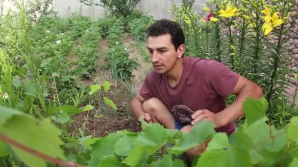 Dolgozó emberek férfi Kertészet — Stock videók