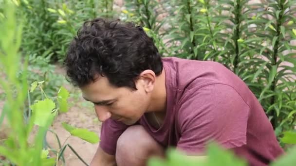 Jardinage Personnes Homme Travailler — Video