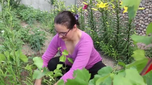 Mulher trabalhando com ferramenta de jardinagem em uvas — Vídeo de Stock