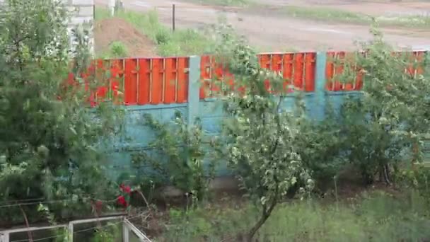 Árboles en el jardín soplando en el viento fuerte — Vídeo de stock