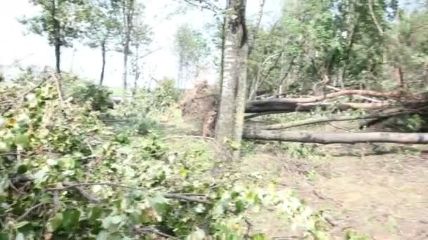Arbre cassé Strom endommager la route 