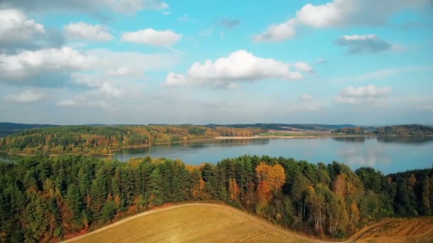 Drone volando sobre hermoso paisaje dorado de otoño, filmación aérea de la naturaleza — Vídeos de Stock