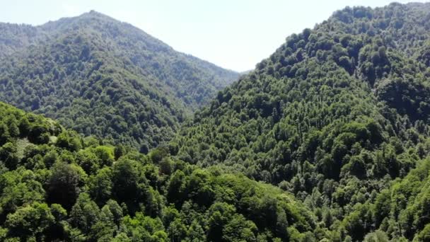 Draufsicht Drohnenflug über grüne Berge Landschaft inspirierendes Video — Stockvideo