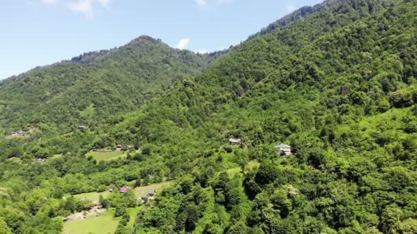 Drone volant au-dessus des montagnes verdoyantes avec des arbres paysage, vue de dessus, prise de vue aérienne — Video