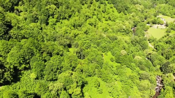 Drone voador sobre montanhas verdes com árvores paisagem, vista superior de cima, tiro aéreo — Vídeo de Stock