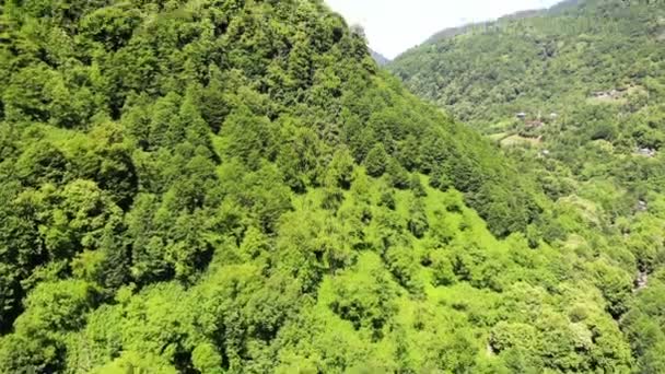 Dronă zburătoare peste munții verzi cu peisaj copaci, vedere de sus, împușcat aerian — Videoclip de stoc