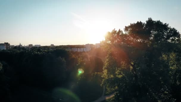 Disparo aéreo desde un dron, rayos de sol a través de las hojas verdes de un gran árbol en el parque de la ciudad, sol encendido — Vídeo de stock