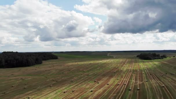 Samanlıkların üzerinde uçan saman saman havası manzarası, güzel manzara — Stok video