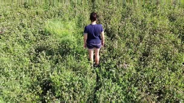 초록색 들판에 홀로 서 있는 소녀, 쓸모없는 의기소침 한 외로움 개념 — 비디오