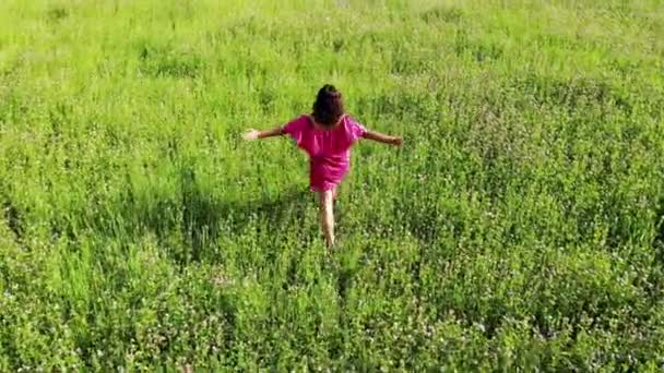 Jovem mulher em vestido sexy vermelho andando por campo verde, levantar as mãos, feliz liberdade inspiradora — Vídeo de Stock