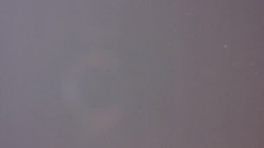 Göz gözlük koyarak