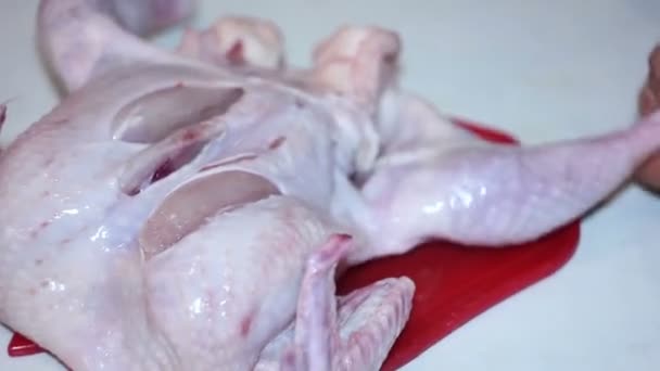 Τεμαχίζοντας κοτόπουλο από Ax για μια κομμάτια — Αρχείο Βίντεο