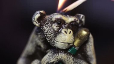 Maymun mum ışığı