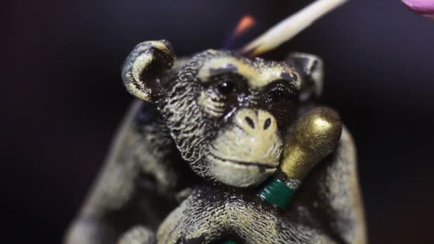 对猴子蜡烛照明 — 图库视频影像
