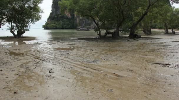 Поток воды в заливе — стоковое видео