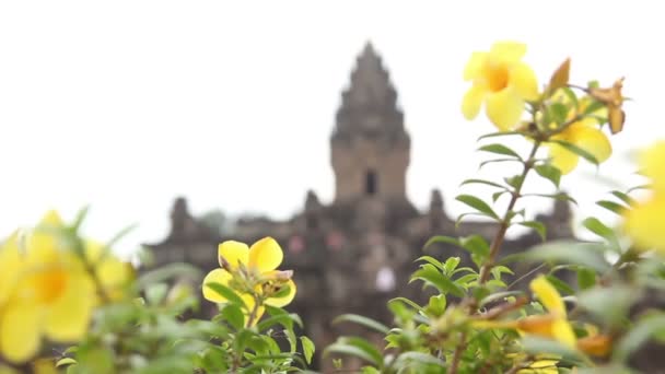 Bakhong Temple Roluos Group Siem Reap Camboya — Vídeo de stock