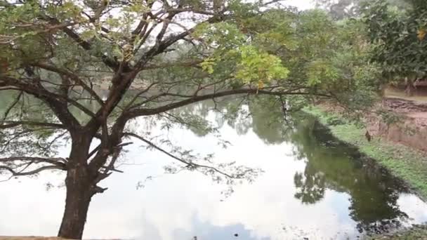 Bakhong храм Roluos Група Сієм Ріп в Камбоджі — стокове відео