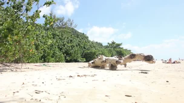 Vackra Thailand strand med stenar Krabi — Stockvideo