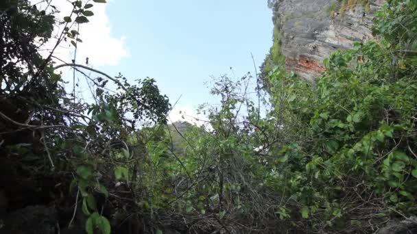 Rock and Green Trees Tailândia — Vídeo de Stock