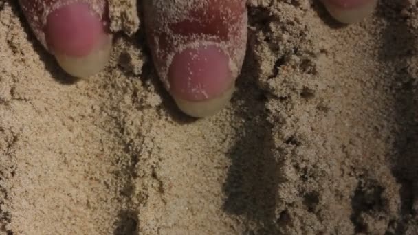 Vrouwelijke handen in strand zand — Stockvideo
