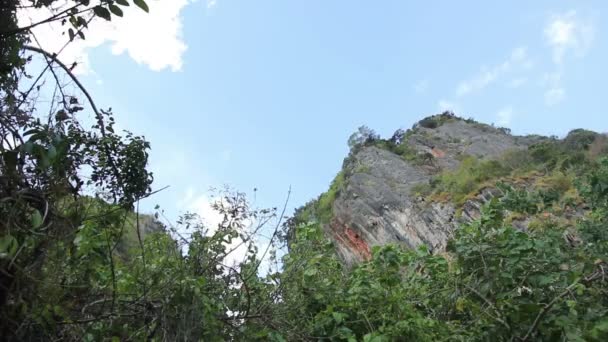 Rock en groene bomen Thailand — Stockvideo