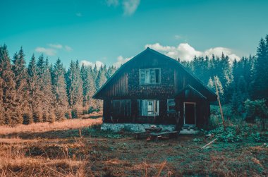 Şafakta ormandaki küçük ev