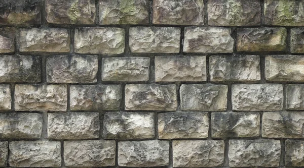 Stone Wall. mur de briques . — Photo