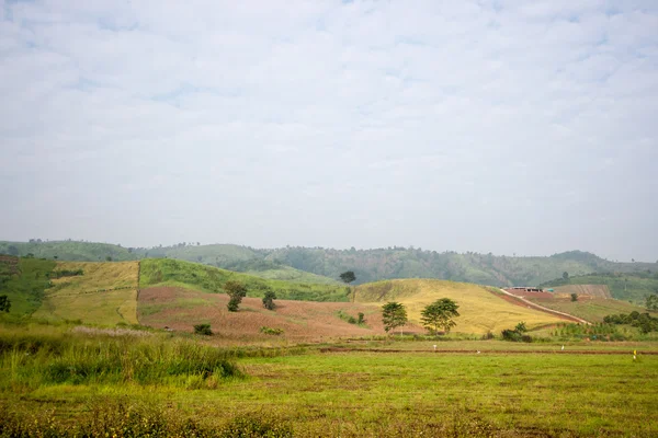 Vistas a la montaña en Phu Tubberk —  Fotos de Stock