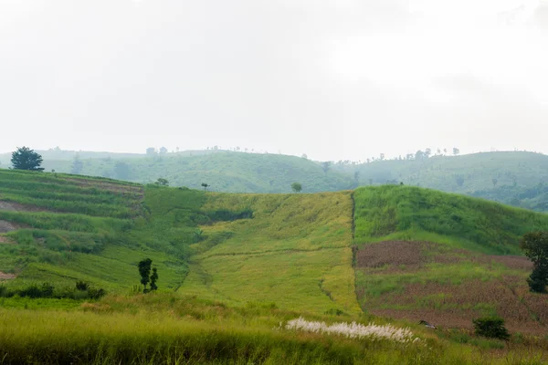 De mening van de berg op Phu Tubberk — Stockfoto