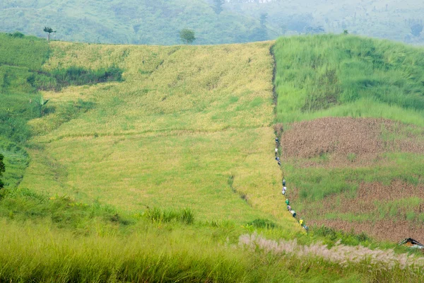 Mountain view v Phu Tubberk — Stock fotografie