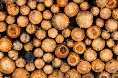 Günlük yığınları