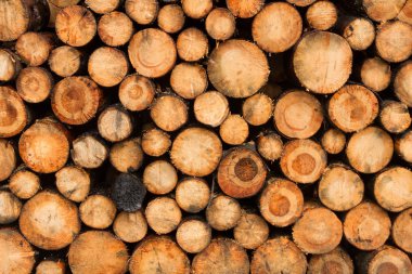 Günlük yığınları