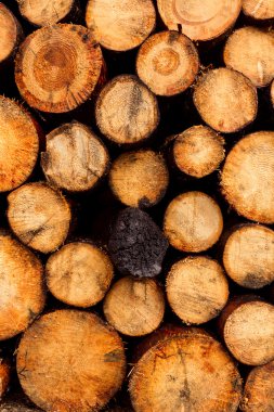 Günlük yığınları