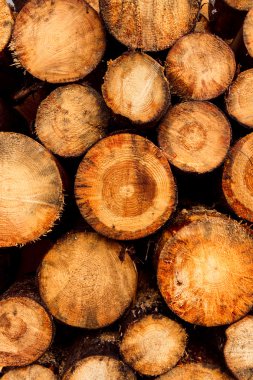 Günlük yığınları