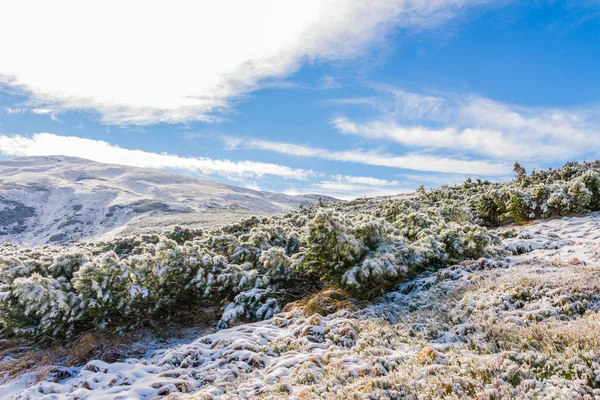 Vista de montanha coberta de neve — Fotografia de Stock