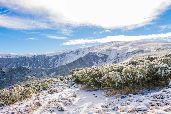 Vista de montanha coberta de neve — Fotografia de Stock