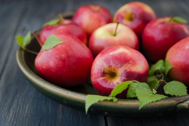 kırmızı taze elma