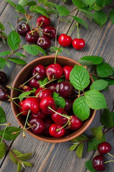 Cerezas rojas frescas — Foto de Stock