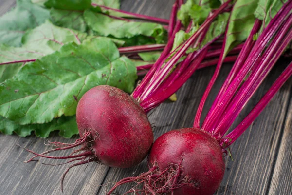 Organic red beets — Stock Photo, Image