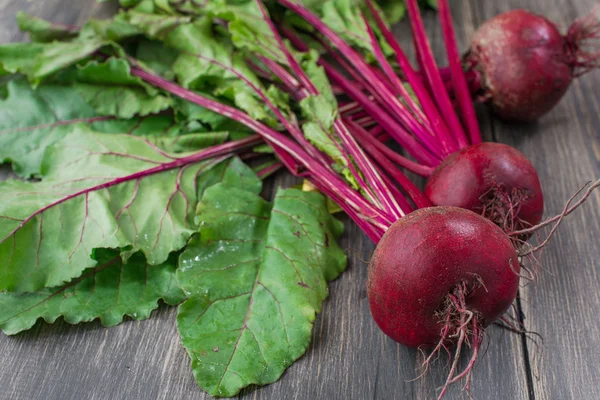 Organik kırmızı pancar