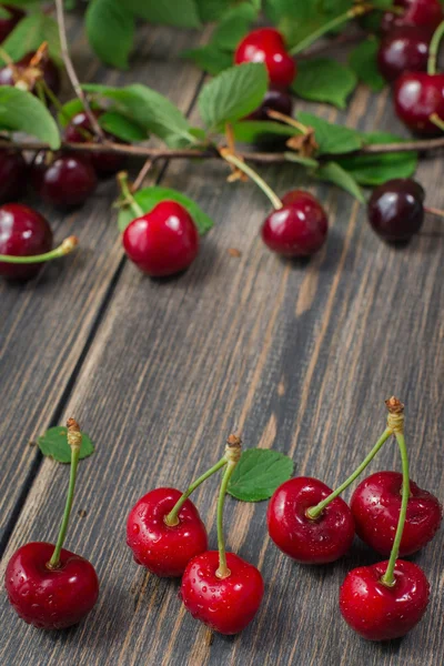 Fresh red cherries Royalty Free Stock Images