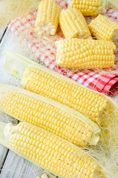 Yellow colourful corn — Stock Photo, Image