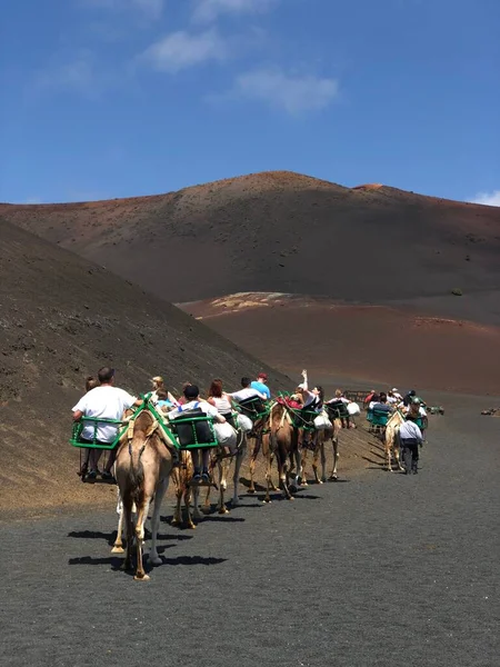 Lanzarote, İspanya - 18 Ocak 2018: Turist deve sürmek ünlü Timanfaya Milli Parkı, volkanik Adası Lanzarote İspanya, üzerinde 18 Ocak 2018 sahip. — Stok fotoğraf
