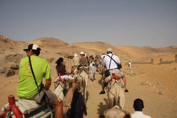 Sahra, Fas 'taki çöl kum tepelerinde bir deve kervanı grubu. Pastel renkte güzel bir gün batımı. Katmanlı arka plan. Geleneksel Arap taşımacılığı. — Stok fotoğraf