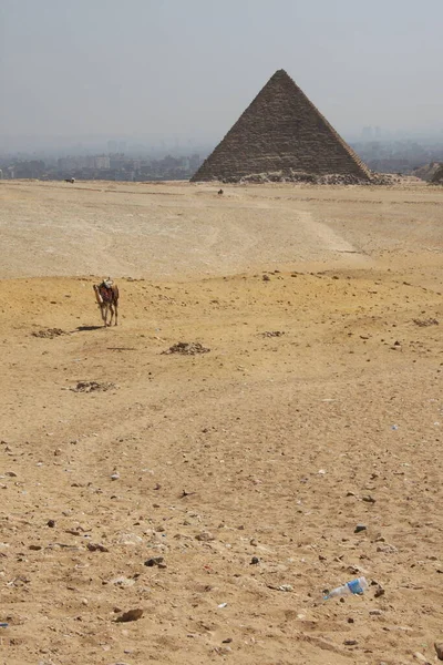 Пирамиды Гизы в Каире. Общий вид пирамид с пирамид Гизы Плато Три, известных как пирамиды Квинса на лицевой стороне. Слева направо пирамида Менкауре, Хафре и Чуфу. — стоковое фото