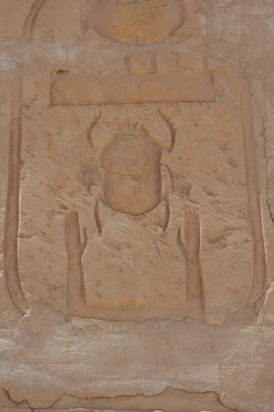 Starověká egyptská řezba skarabského brouka za letu. Stěna Chrámu Hóru, Edfu, Egypt. — Stock fotografie