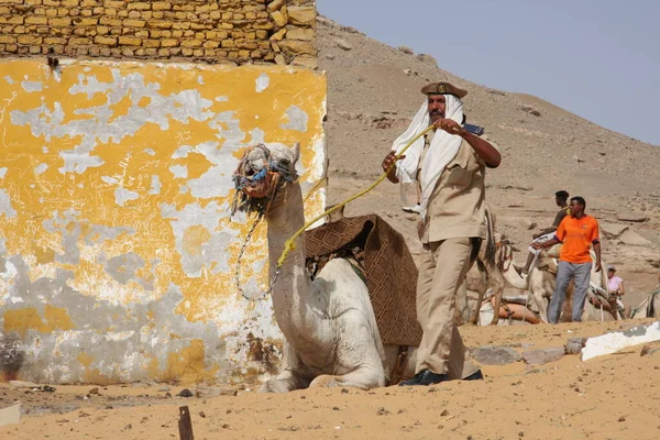 Kamelkarawanengruppe in Wüstensanddünen in Ägypten. Schöner Sonnenuntergang in Pastellfarben. Vielschichtiger Hintergrund. Traditioneller arabischer Transport. — Stockfoto