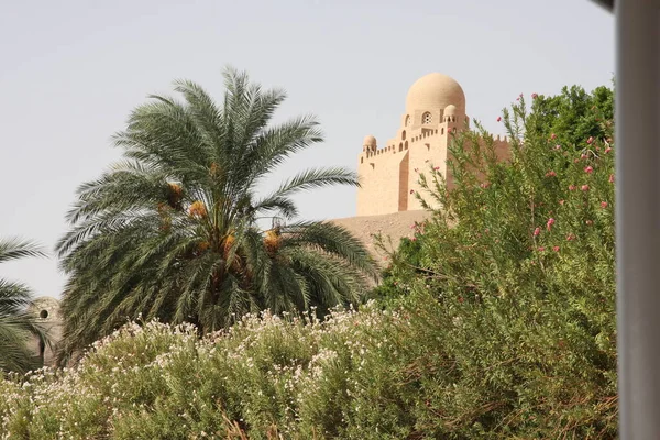 Moschea in egitto tra le palme — Foto Stock